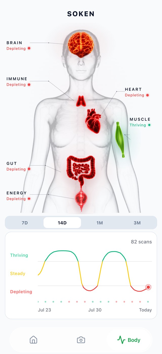 The SOKEN body scan: brain, immune, heart, gut, energy and muscle each marked thriving or depleting, above a 14-day trend chart.